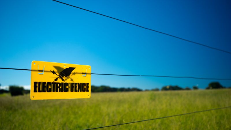 Electric Dog Fence Installation